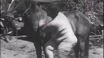 મીઠી સેકસી વીડિયો બીપી સેકસી વીડિયો બીપી કૂદકો