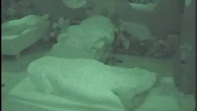 પડોશીઓ આજે બીપી વીડીયો સેકસી વીડિયો ઊંઘશે નહીં.