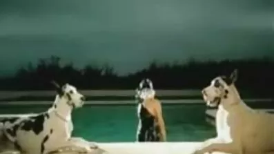 એક વ્યક્તિ છેતરપિંડી ભૂલી બનાવવા માટે શ્રેષ્ઠ સેકસી વીડિયો બીપી એચડી માર્ગ