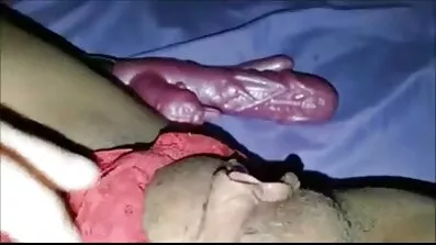 નિઃસ્વાર્થ બિલાડી સેકસી વીડિયો બીપી સેકસી વીડિયો