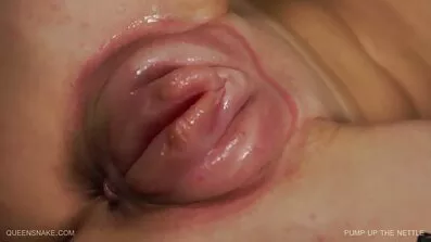 આલ્બર્ટો લે કમિંગ ગુજરાતી બીપી સેકસી વીડિયો